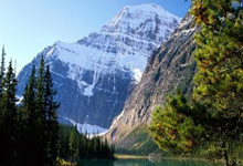 苹果cms模板论坛